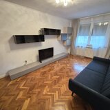 Lacul Tei, Grigore Ionescu